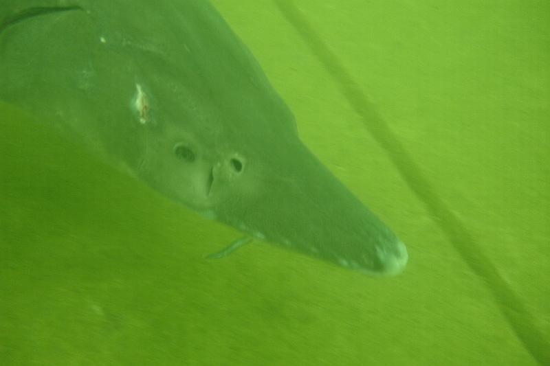 07 D 022.JPG